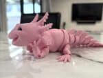 Laughing Axolotl - Pink Pastel