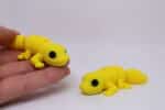Baby Leopard Gecko - Yellow