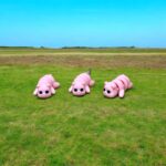 3 little pigs keyrings pink