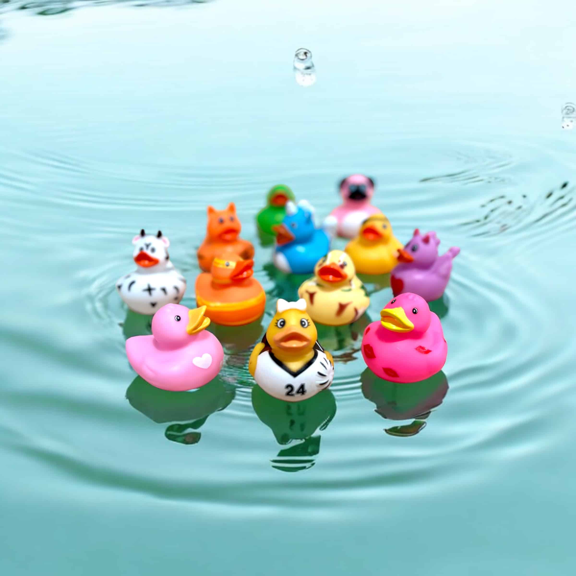 Cruise Ducks - Rubber Ducks