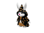 Wizard Bunny Gold Stars