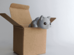 Grey Cat in box