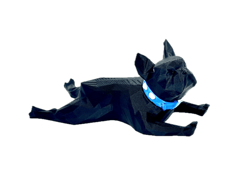 French Bulldog Black