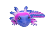 Pink Purple Rainbow Axolotl