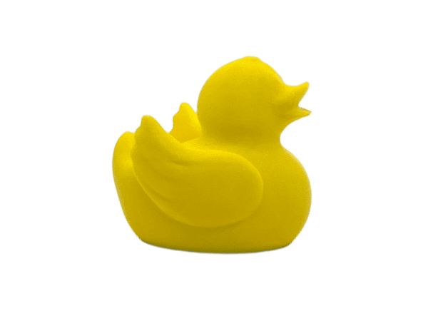 Yellow Duck