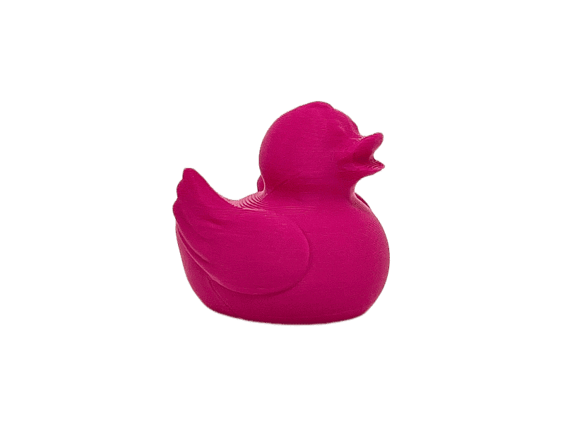 Pink Duck