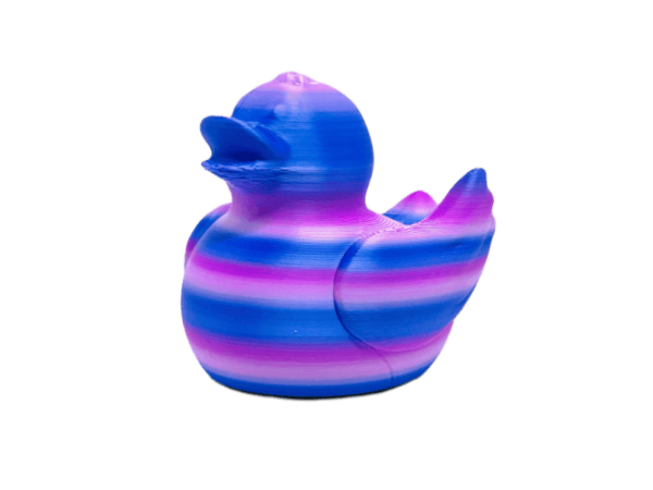 Pink Purple Rainbow Duck