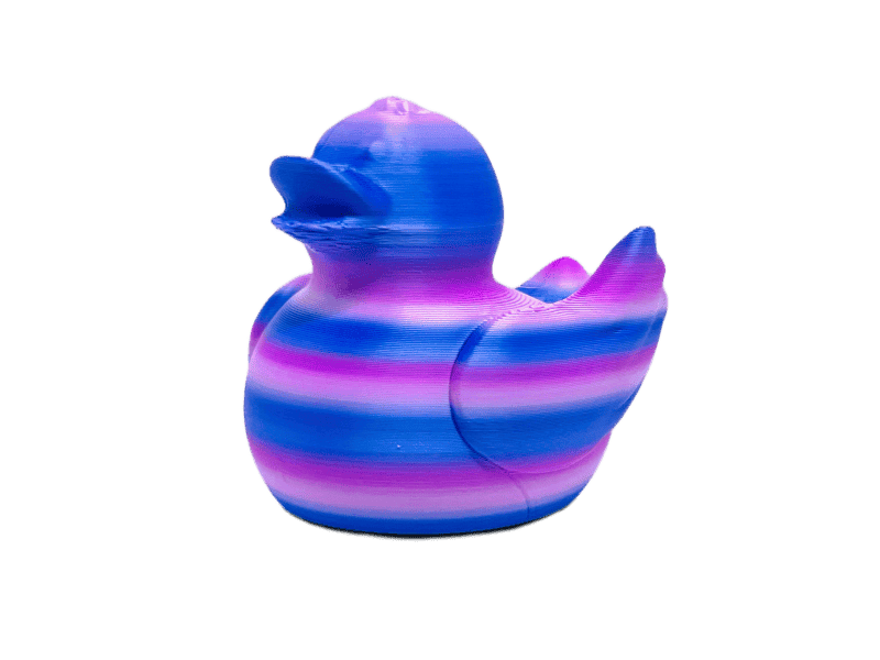 Pink Purple Rainbow Duck