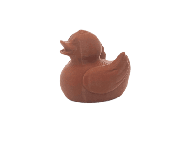 Brown Duck