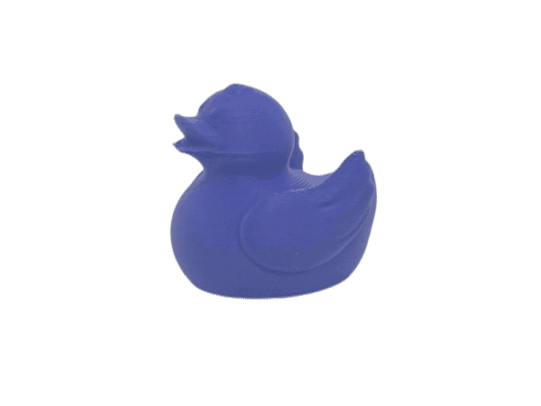 Purple Duck