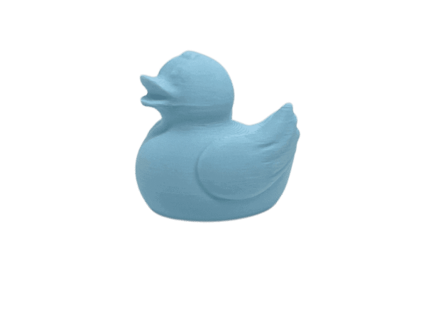 Baby Blue Duck