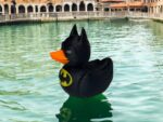 Bat Duck