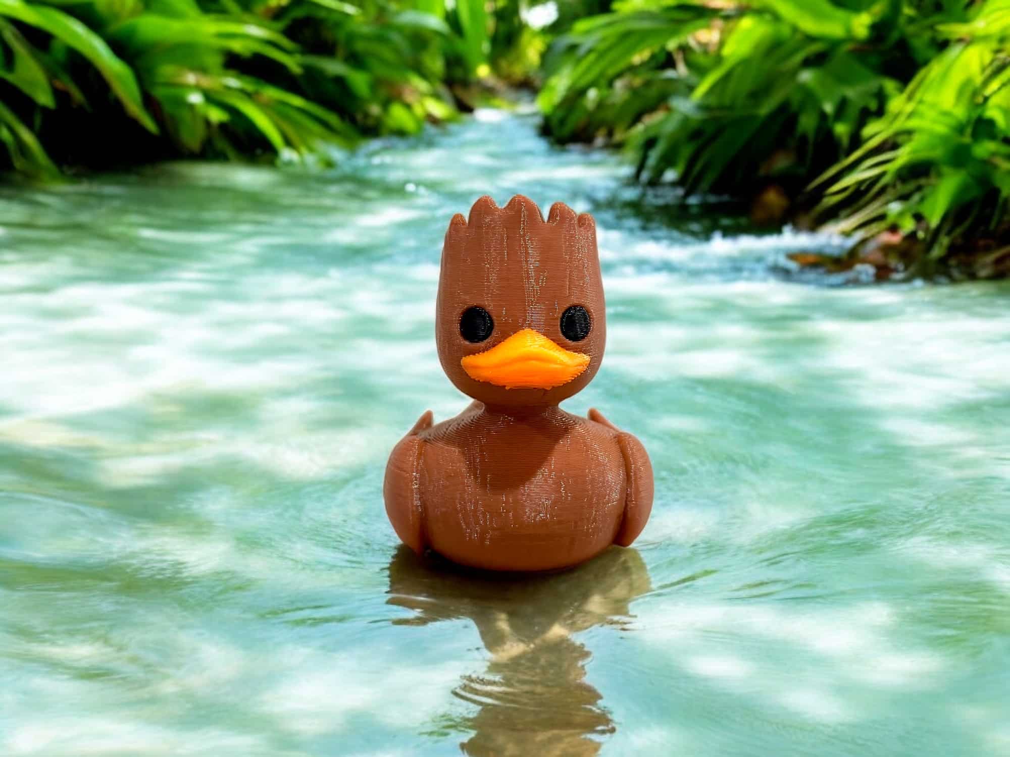 Groot Duck