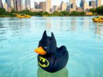 Bat Duck