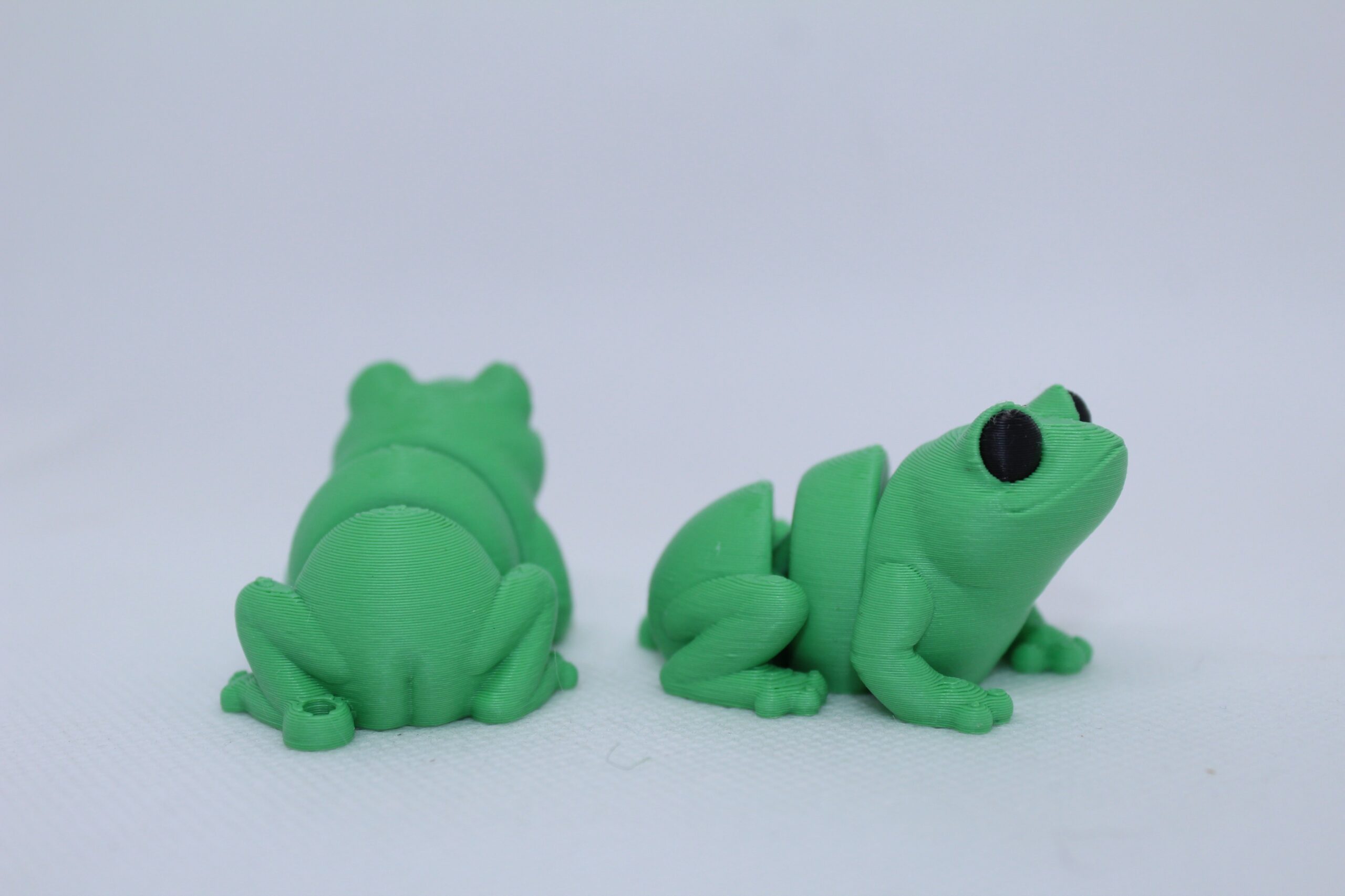Frog Keyring green