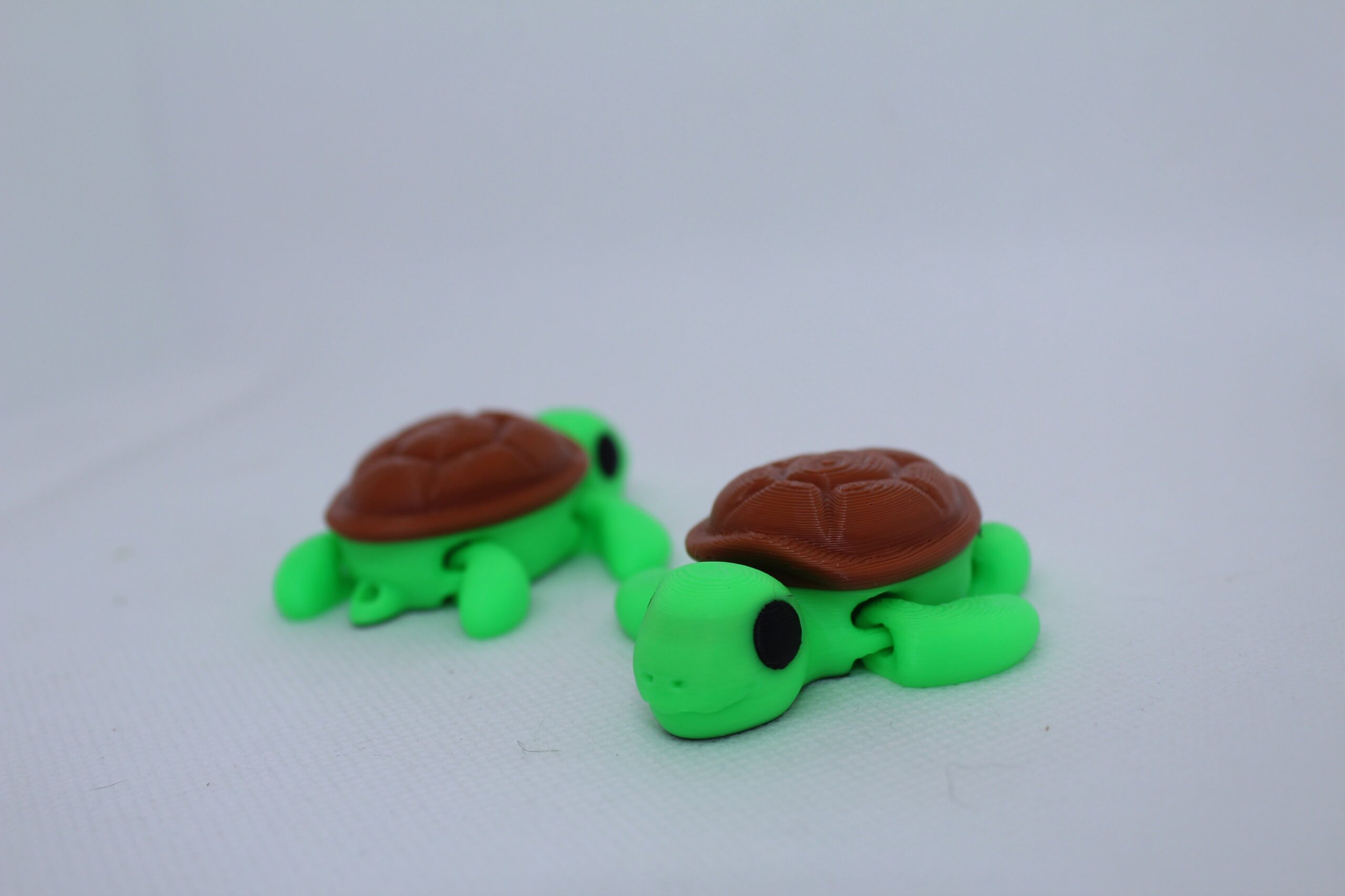 Turtle Keyring