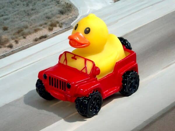 Jeep Wrangler Duck