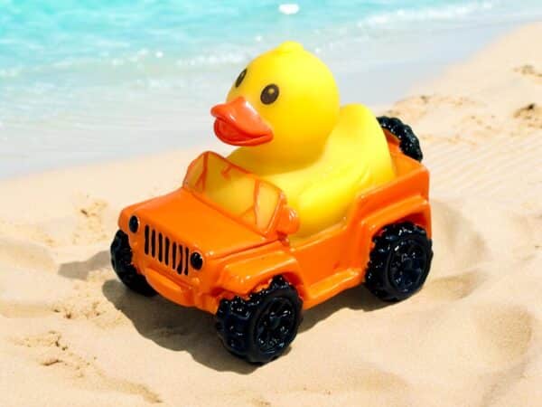 Jeep Wrangler Duck