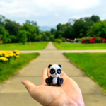 Panda with Purple Feet