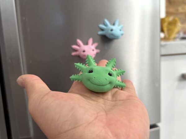 Axolotl Fridge Magent Green Grass