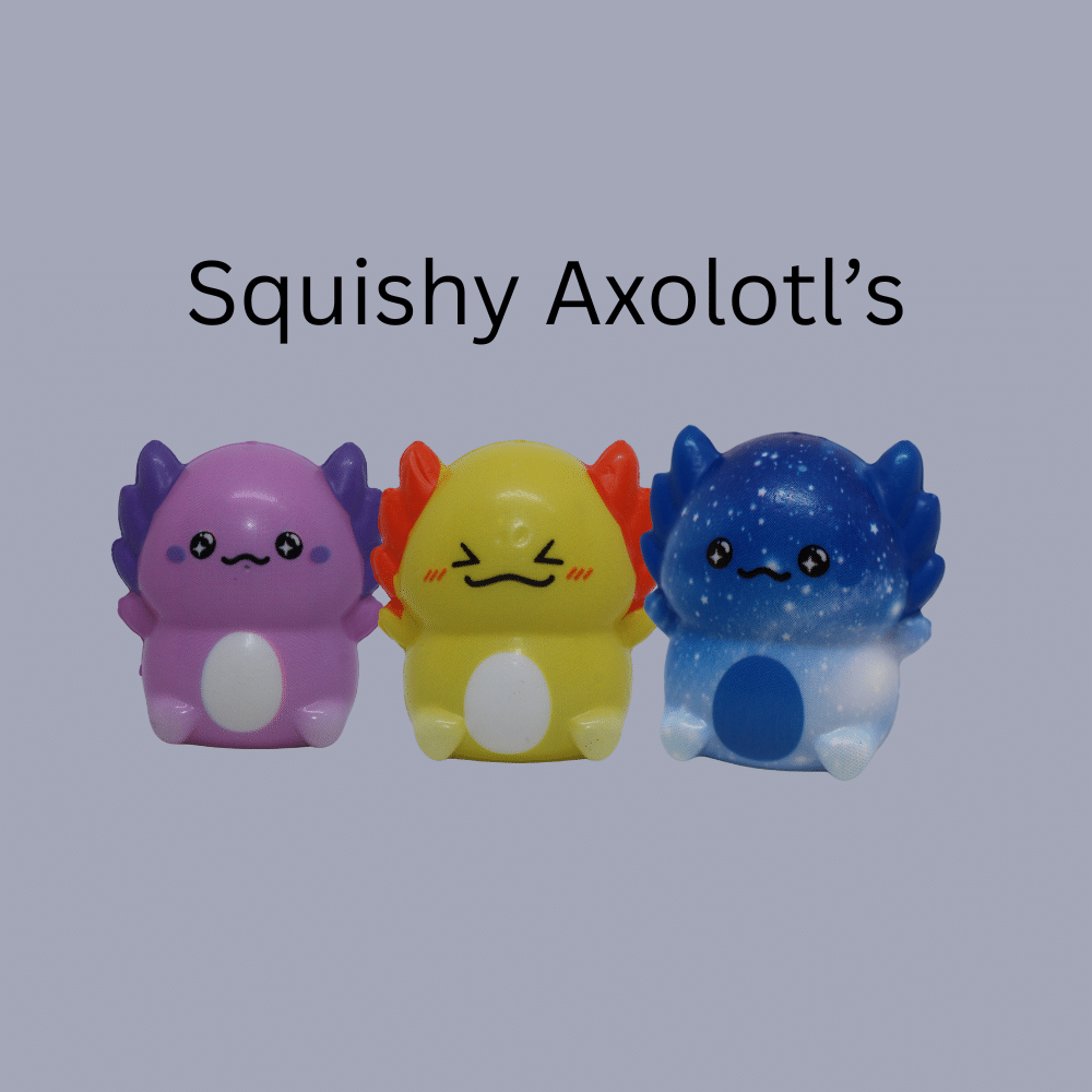 Sensory Fidget Pack - Image 4